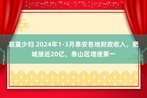 寂寞少妇 2024年1-3月泰安各地财政收入，肥城接近20亿，泰山区增速第一