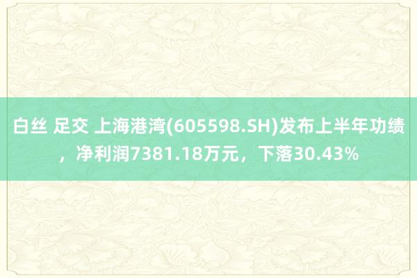 白丝 足交 上海港湾(605598.SH)发布上半年功绩，净利润7381.18万元，下落30.43%