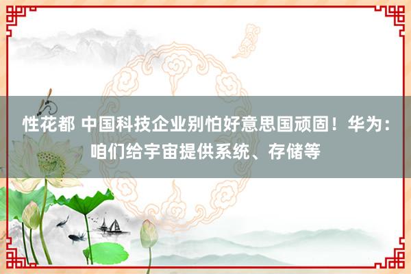 性花都 中国科技企业别怕好意思国顽固！华为：咱们给宇宙提供系统、存储等
