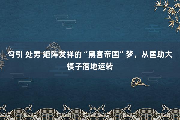 勾引 处男 矩阵发祥的“黑客帝国”梦，从匡助大模子落地运转