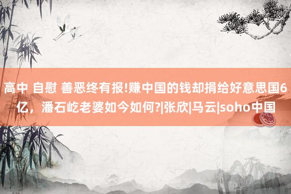 高中 自慰 善恶终有报!赚中国的钱却捐给好意思国6亿，潘石屹老婆如今如何?|张欣|马云|soho中国