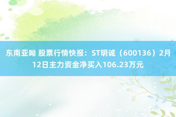 东南亚呦 股票行情快报：ST明诚（600136）2月12日主力资金净买入106.23万元