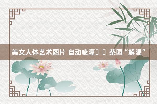 美女人体艺术图片 自动喷灌  茶园“解渴”