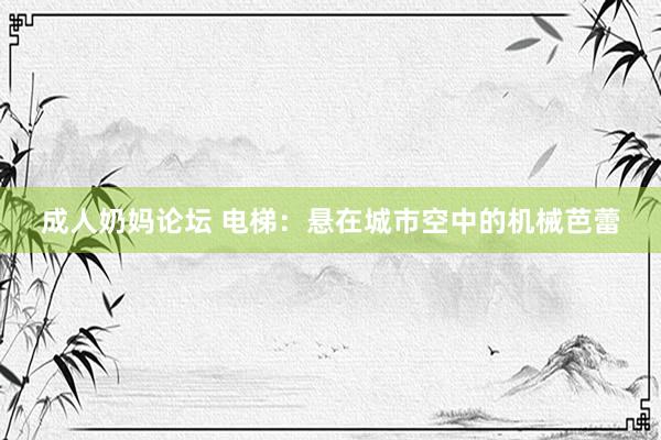 成人奶妈论坛 电梯：悬在城市空中的机械芭蕾