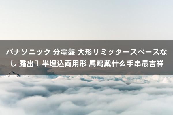 パナソニック 分電盤 大形リミッタースペースなし 露出・半埋込両用形 属鸡戴什么手串最吉祥