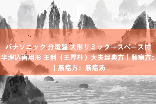 パナソニック 分電盤 大形リミッタースペース付 露出・半埋込両用形 王利（王厚朴）大夫经典方丨肠癌方：肠癌汤