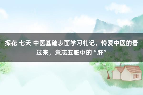 探花 七天 中医基础表面学习札记，怜爱中医的看过来，意志五脏中的“肝”