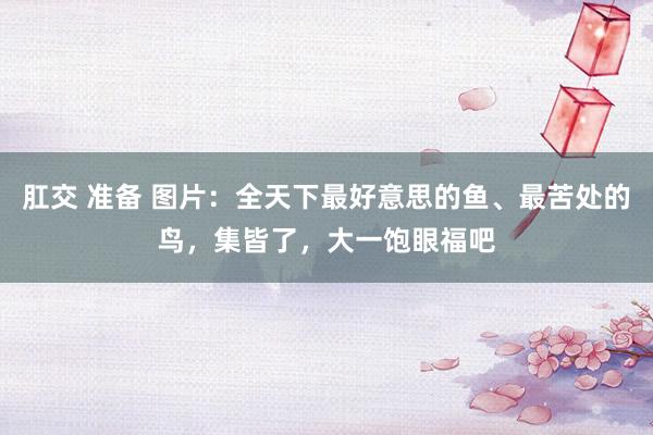 肛交 准备 图片：全天下最好意思的鱼、最苦处的鸟，集皆了，大一饱眼福吧